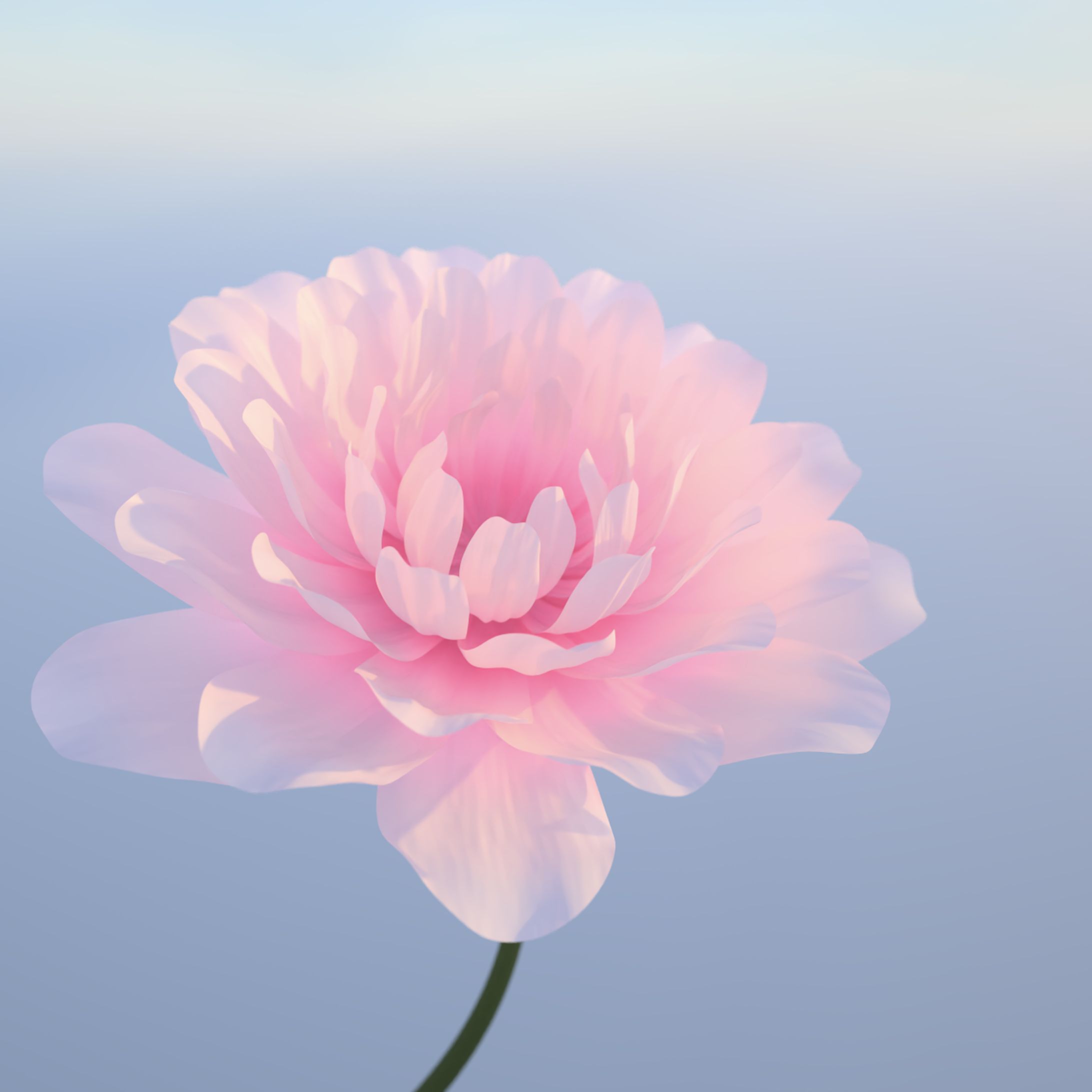  flower animation-1