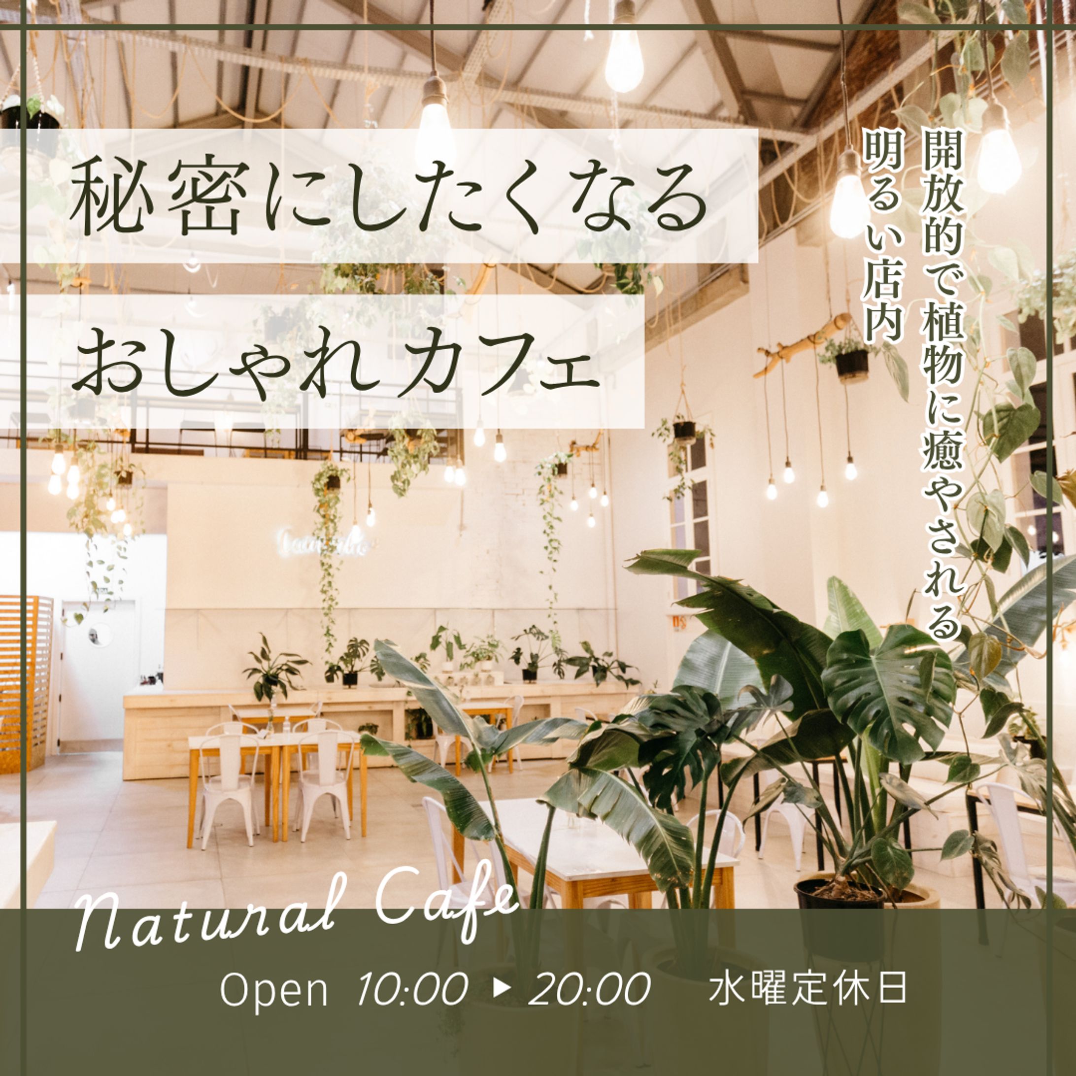 Natural Cafe バナー-1