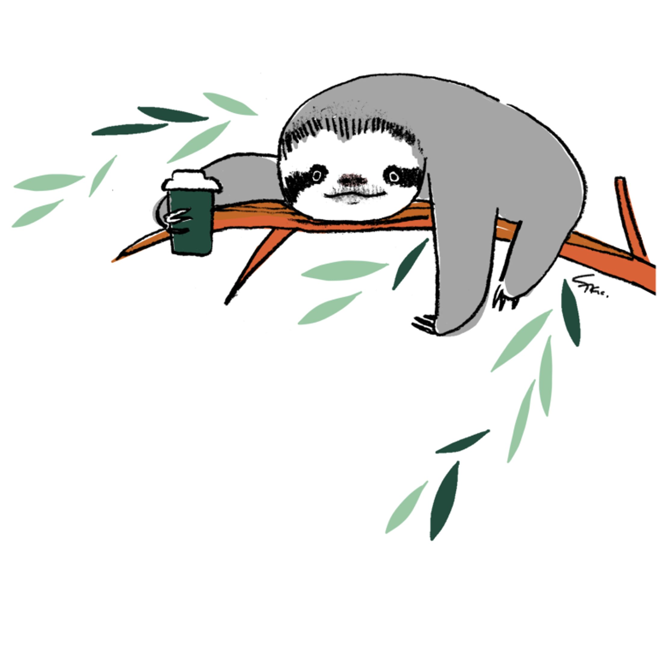 ナマケモノとコーヒー-1