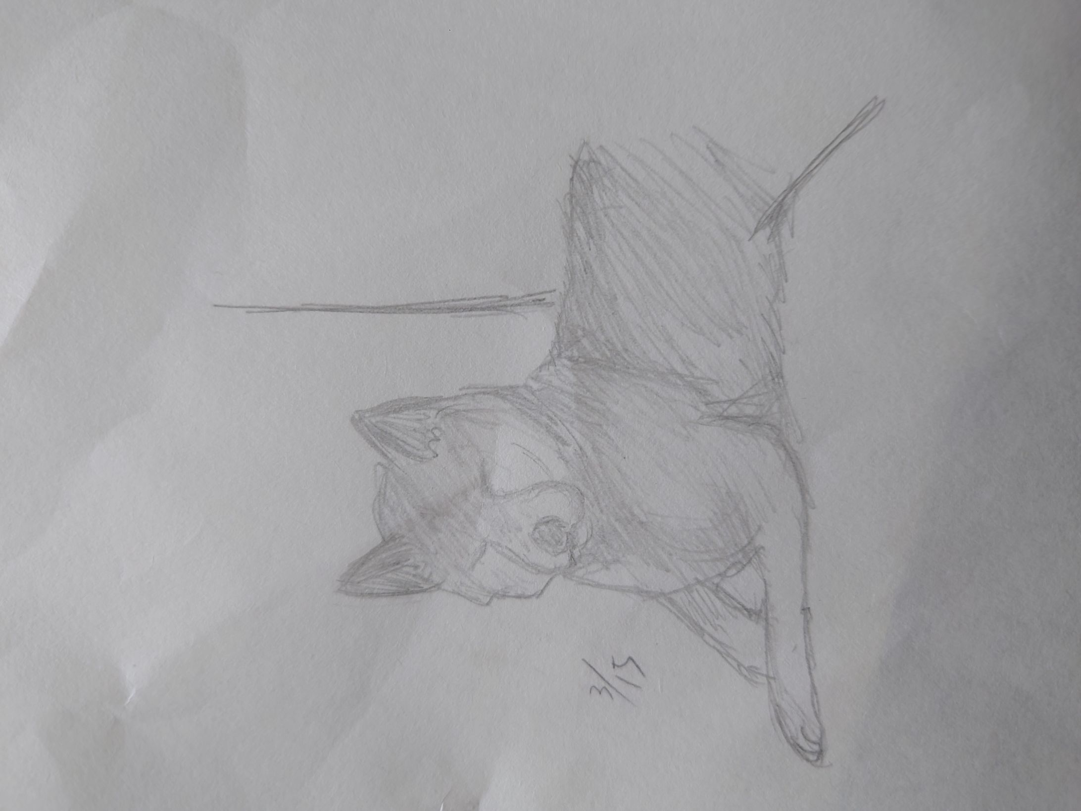 【模写】動物_犬【5分】-1