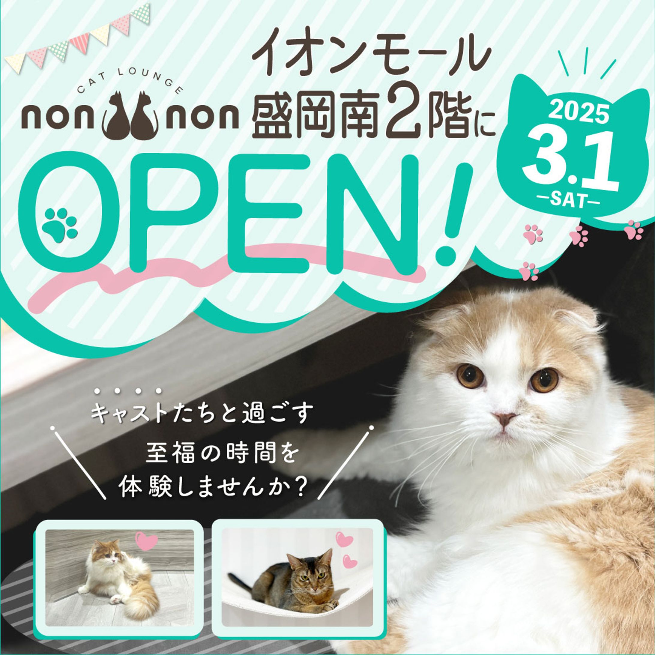 Cat Loungenonnon 様 Instagram広告用バナー-1