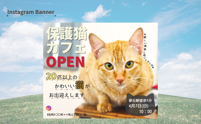 【テーマ引用】保護猫カフェ