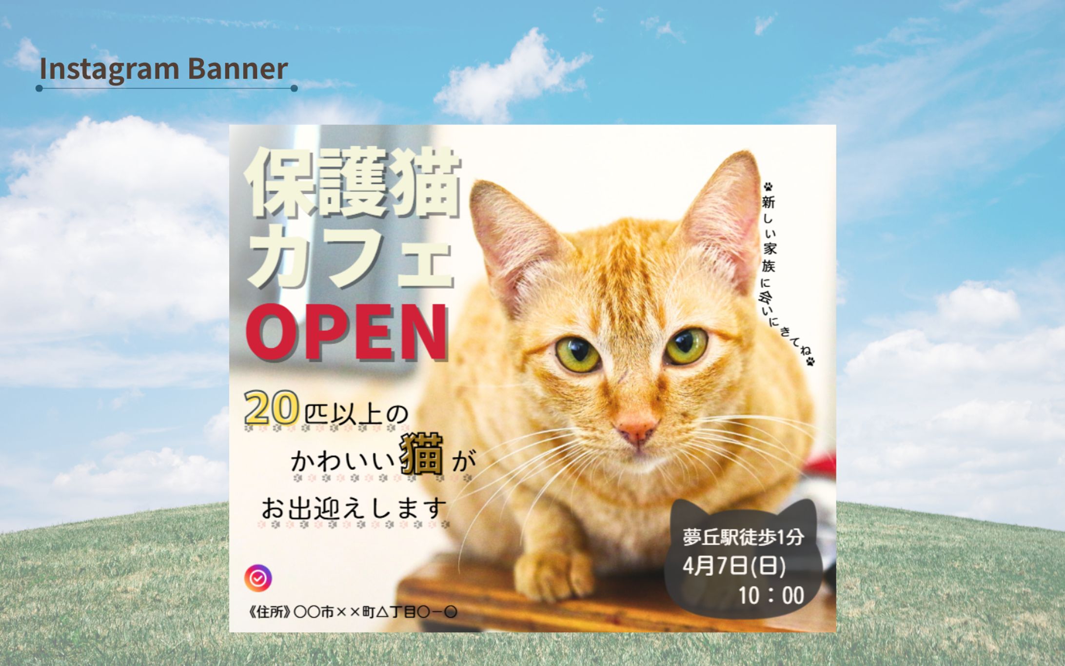 【テーマ引用】保護猫カフェ-1
