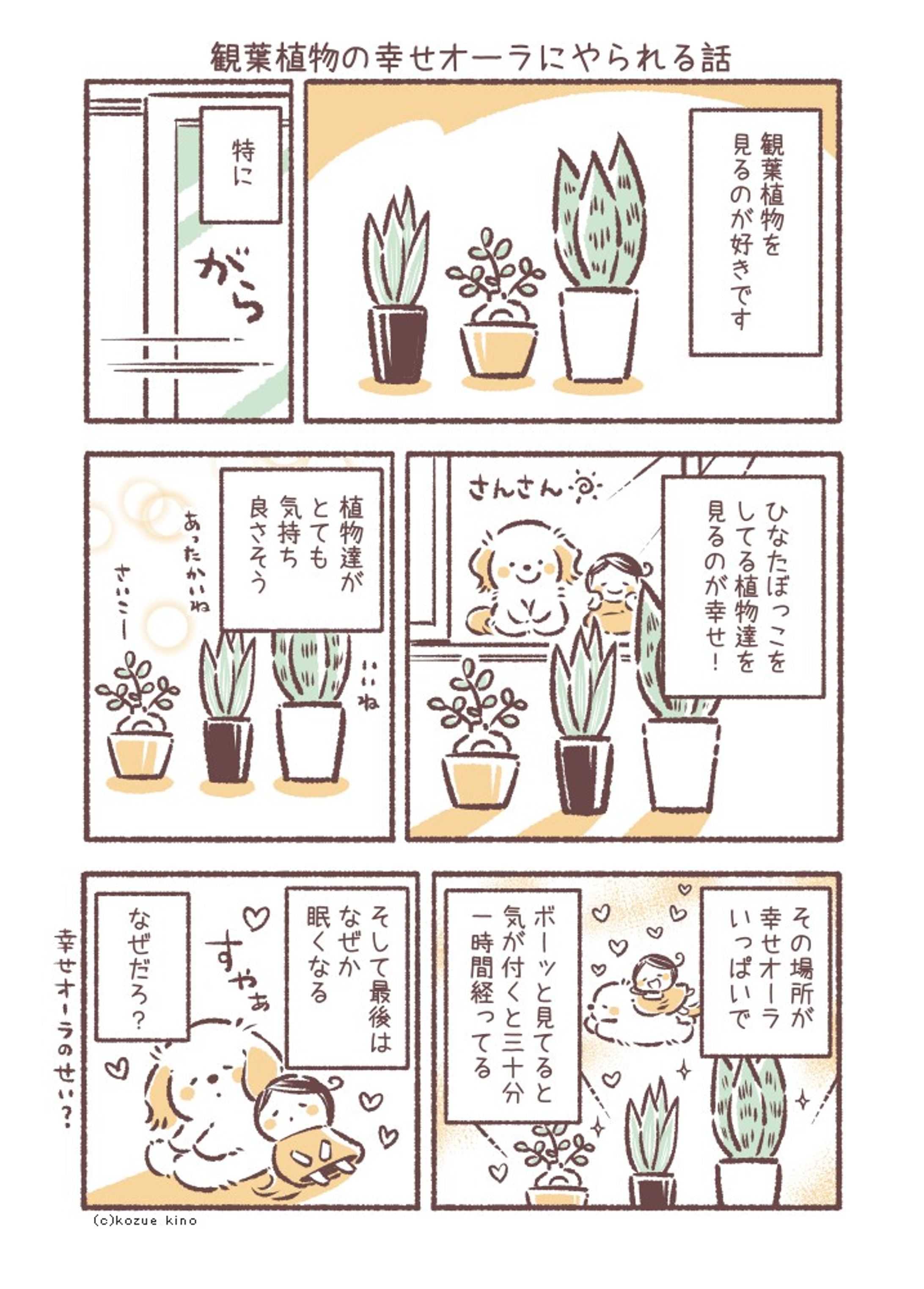 【漫画】 観葉植物の幸せオーラにやられる話-1