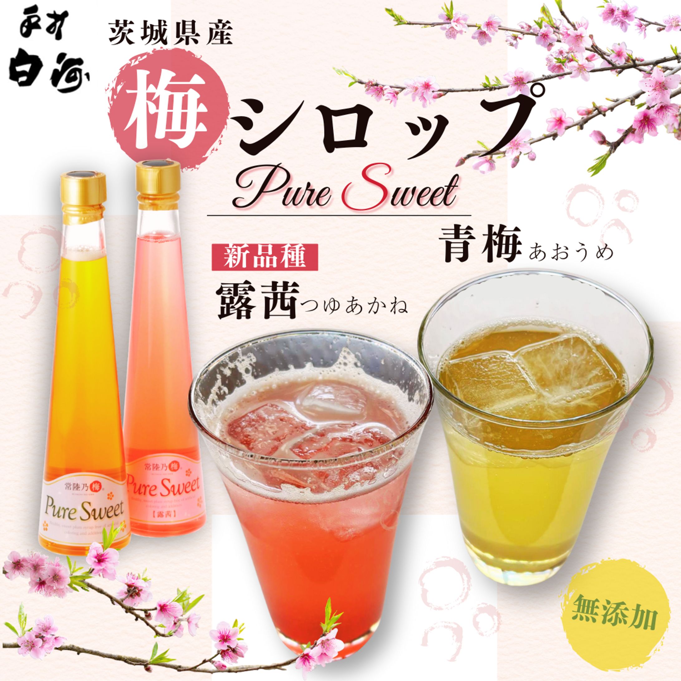 飲食店/メニュー/ドリンク-1