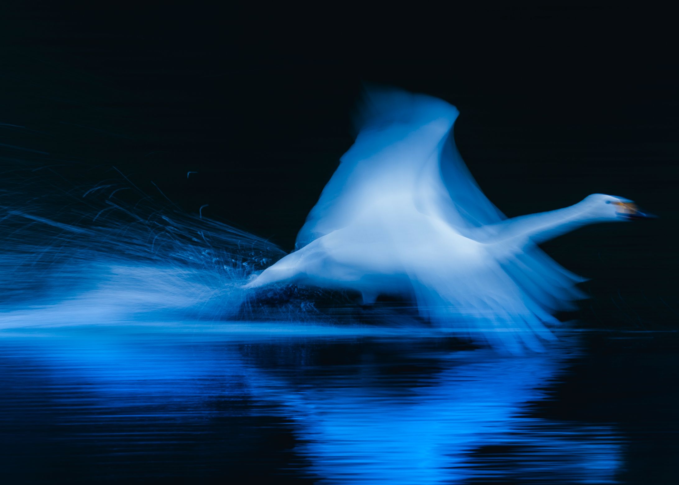Sprint-1