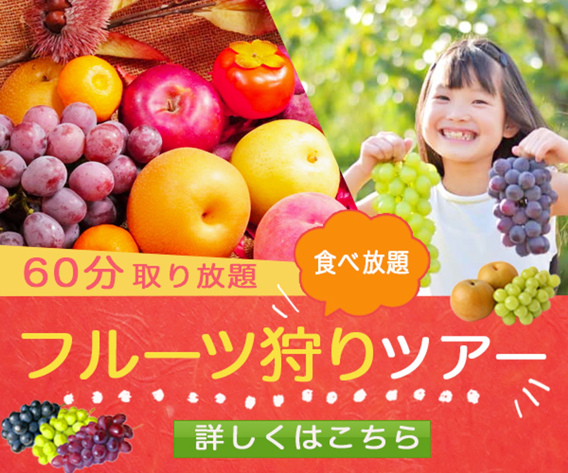 フルーツ狩りバナー-1