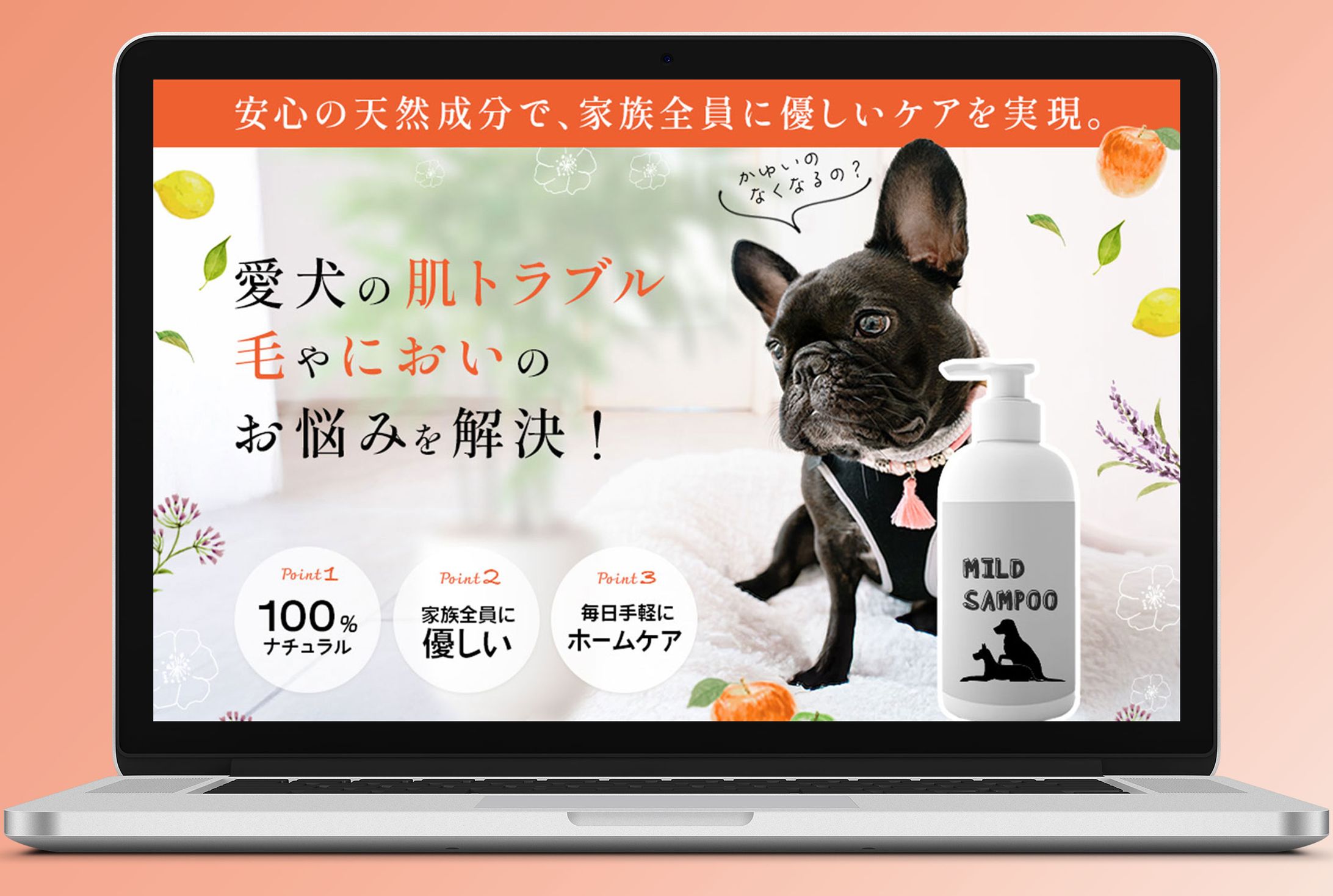 【LP_FV】ペット用品-1