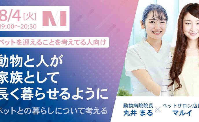 動物系、ニュース記事