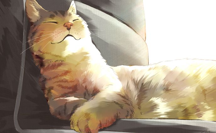 猫＿イラスト