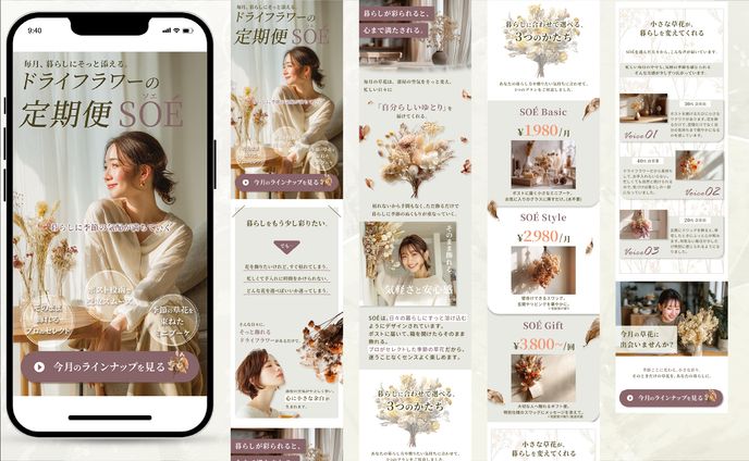 【LP】ドライフラワー定期便