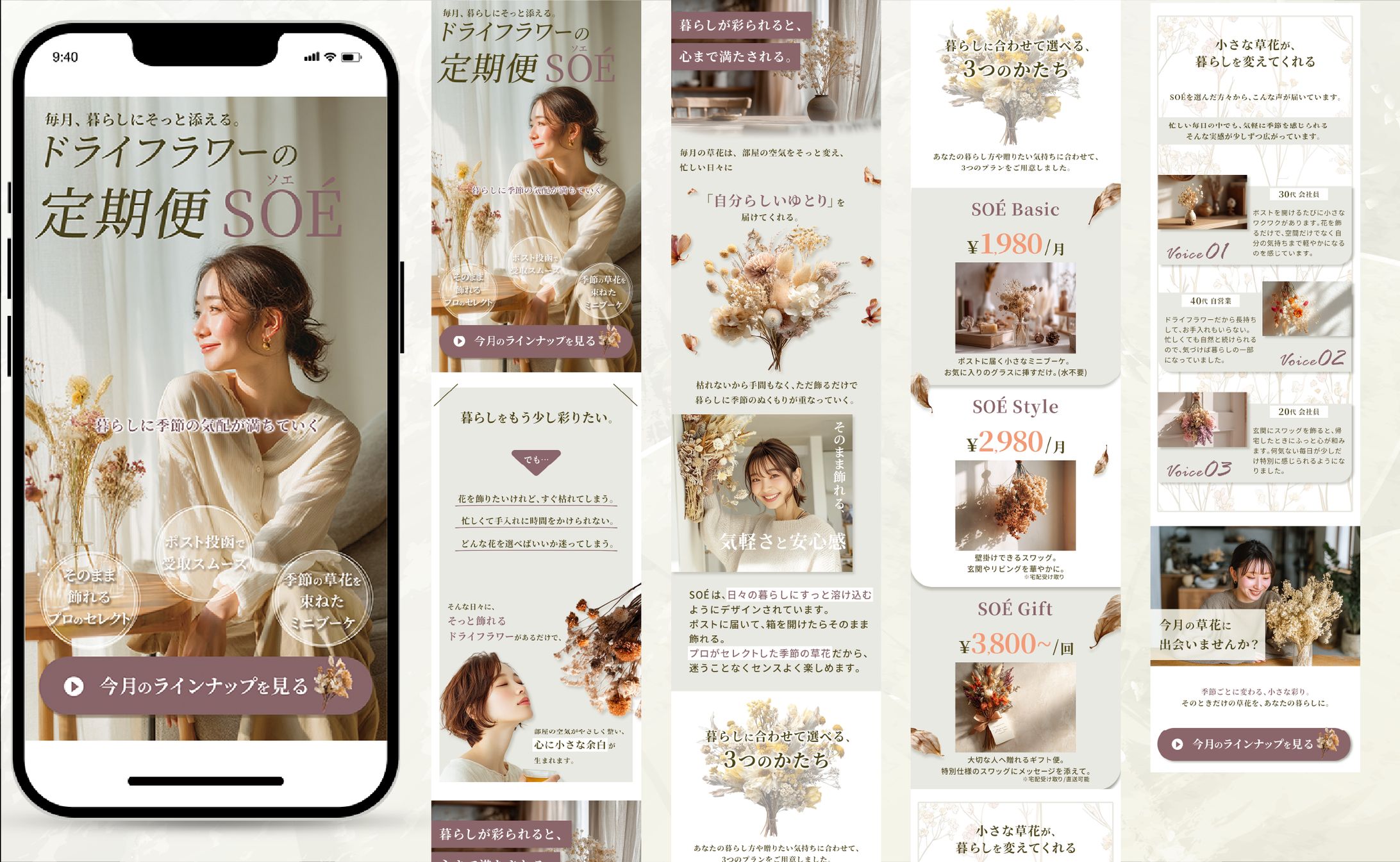 【LP】ドライフラワー定期便-1