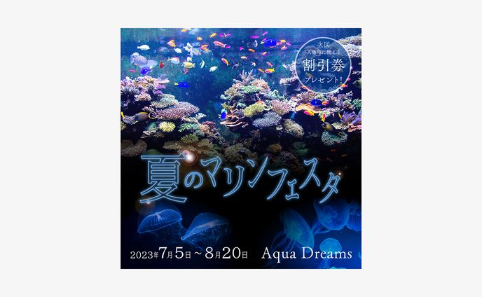 【banner】マリンフェスタ