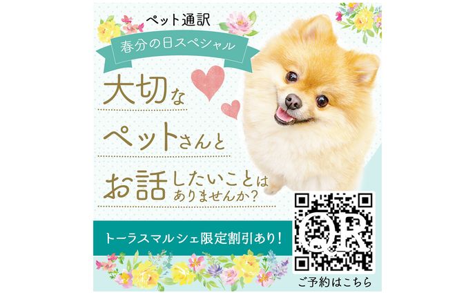 インスタグラムバナー