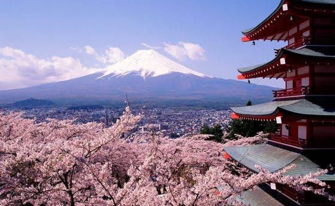 ✦ 個人作品、日本の人事部