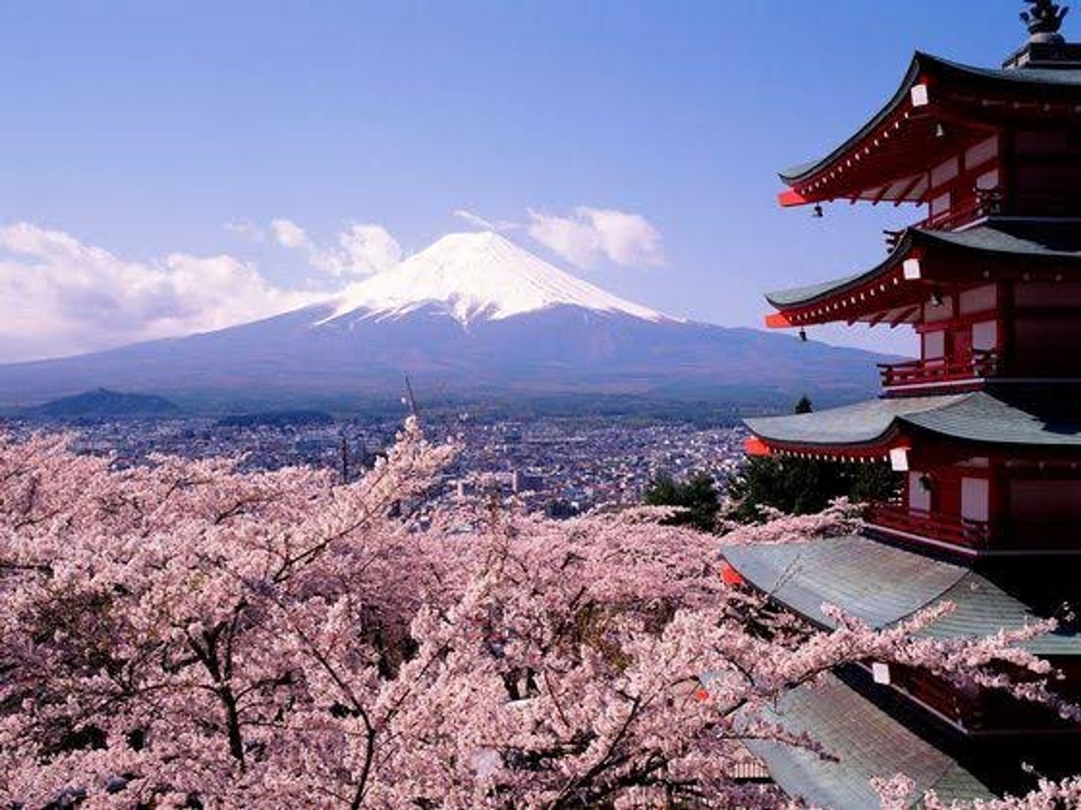 日本の四季【Four Seasons in Japan】-1
