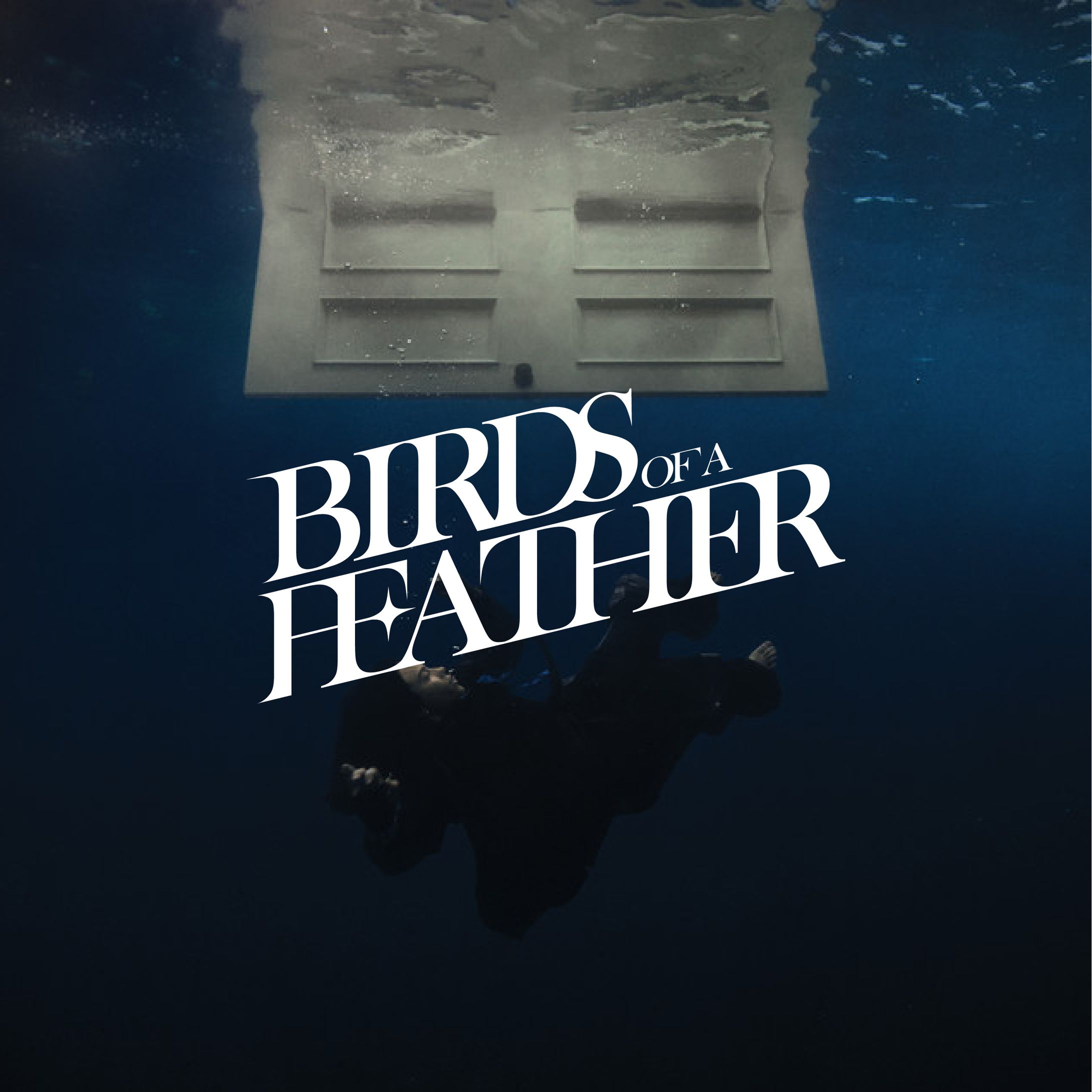 BIRDS OF A FEATHER - Billie Eilish - Typography - Fanmade-1