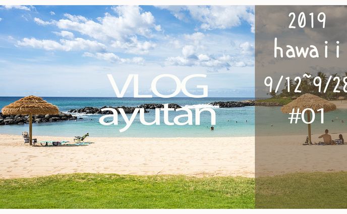 動画編集者、モーショングラフィック