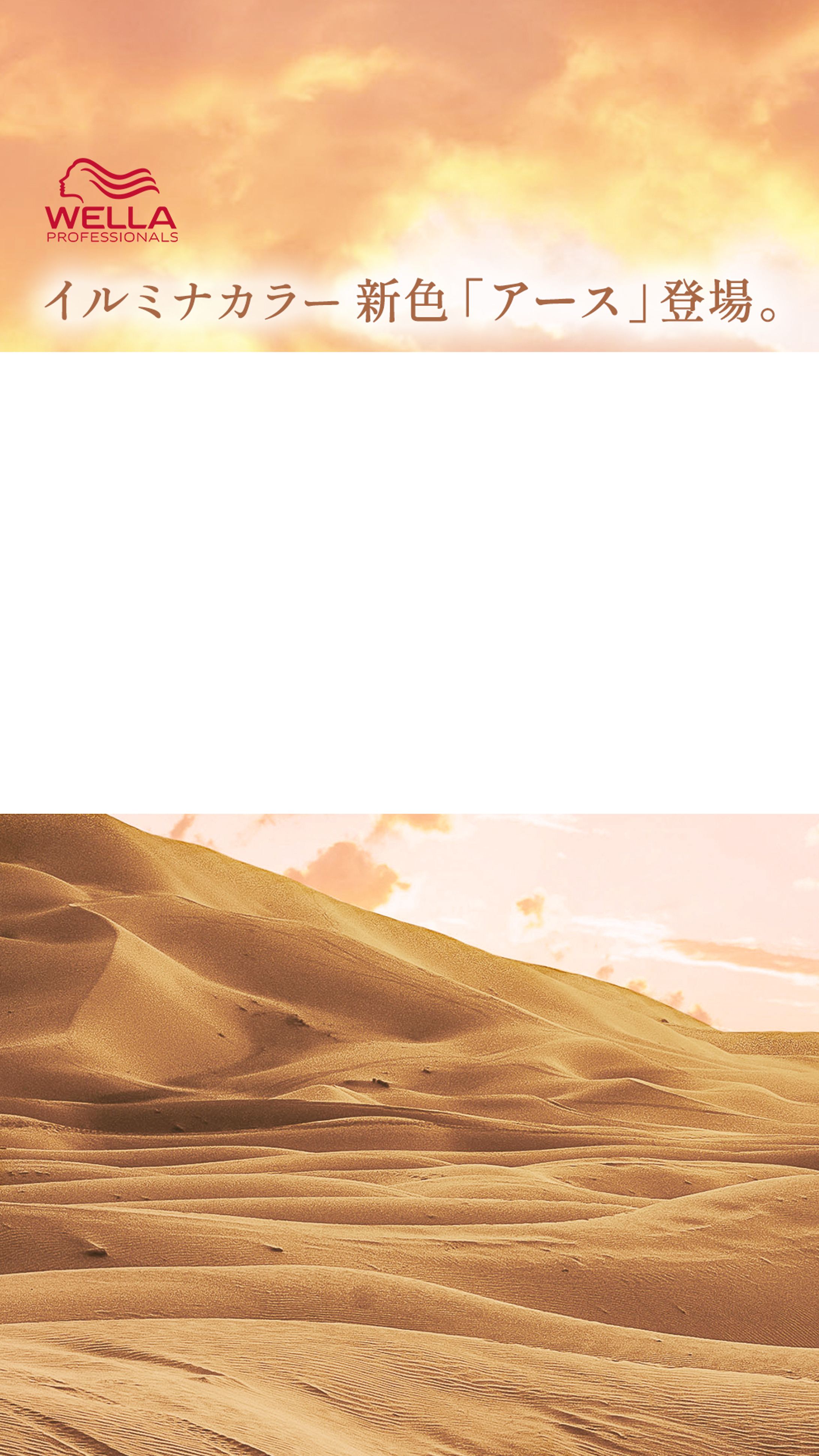 WELLA｜IGリール動画静止画枠制作-1