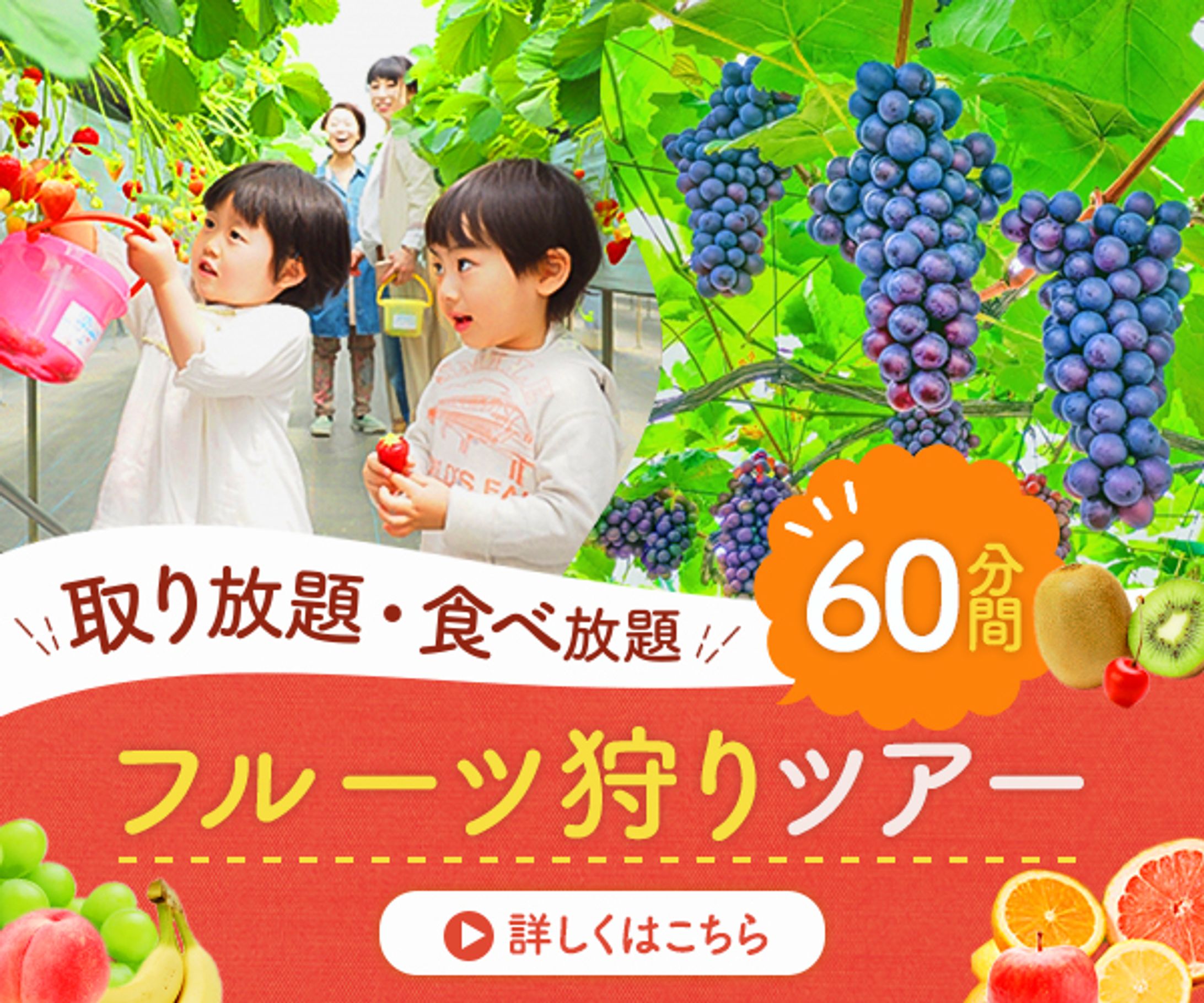 【バナー｜可愛い・ポップ系】フルーツ狩りツアー-1