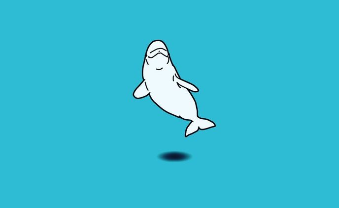 ベルーガ