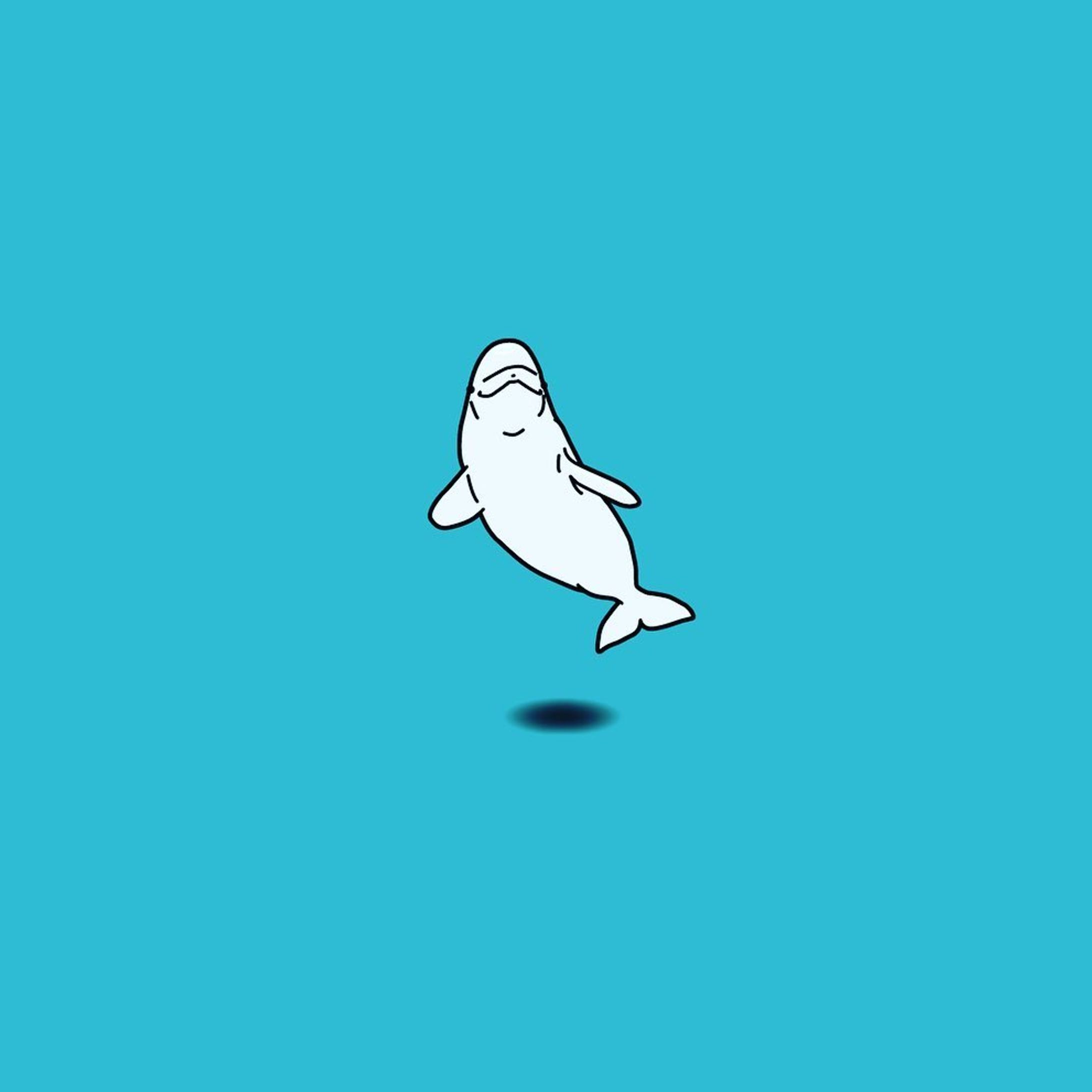 ベルーガ-1