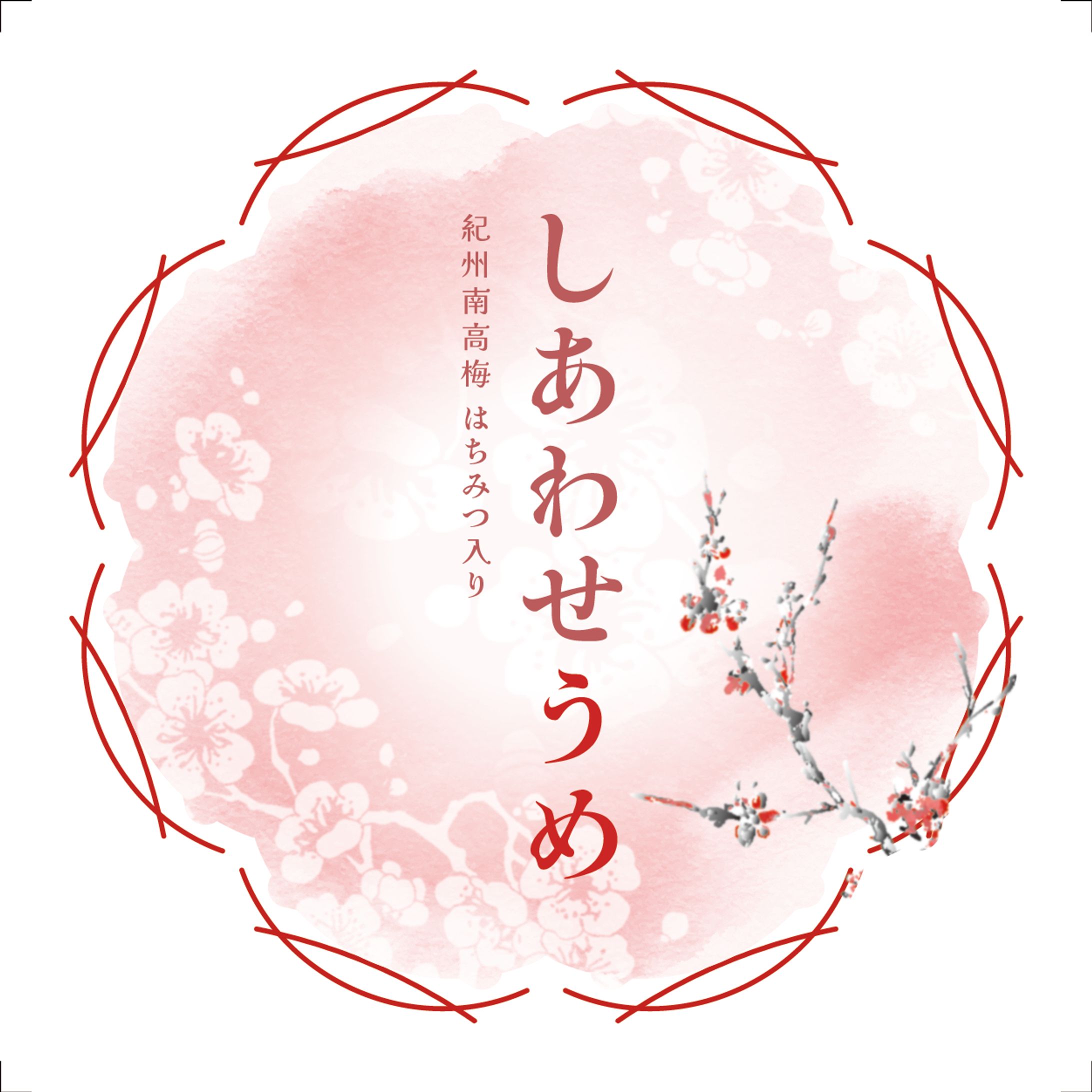 梅干しパッケージデザイン-1