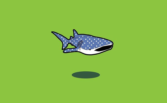 イラストレーター　デザイナー、海の生き物