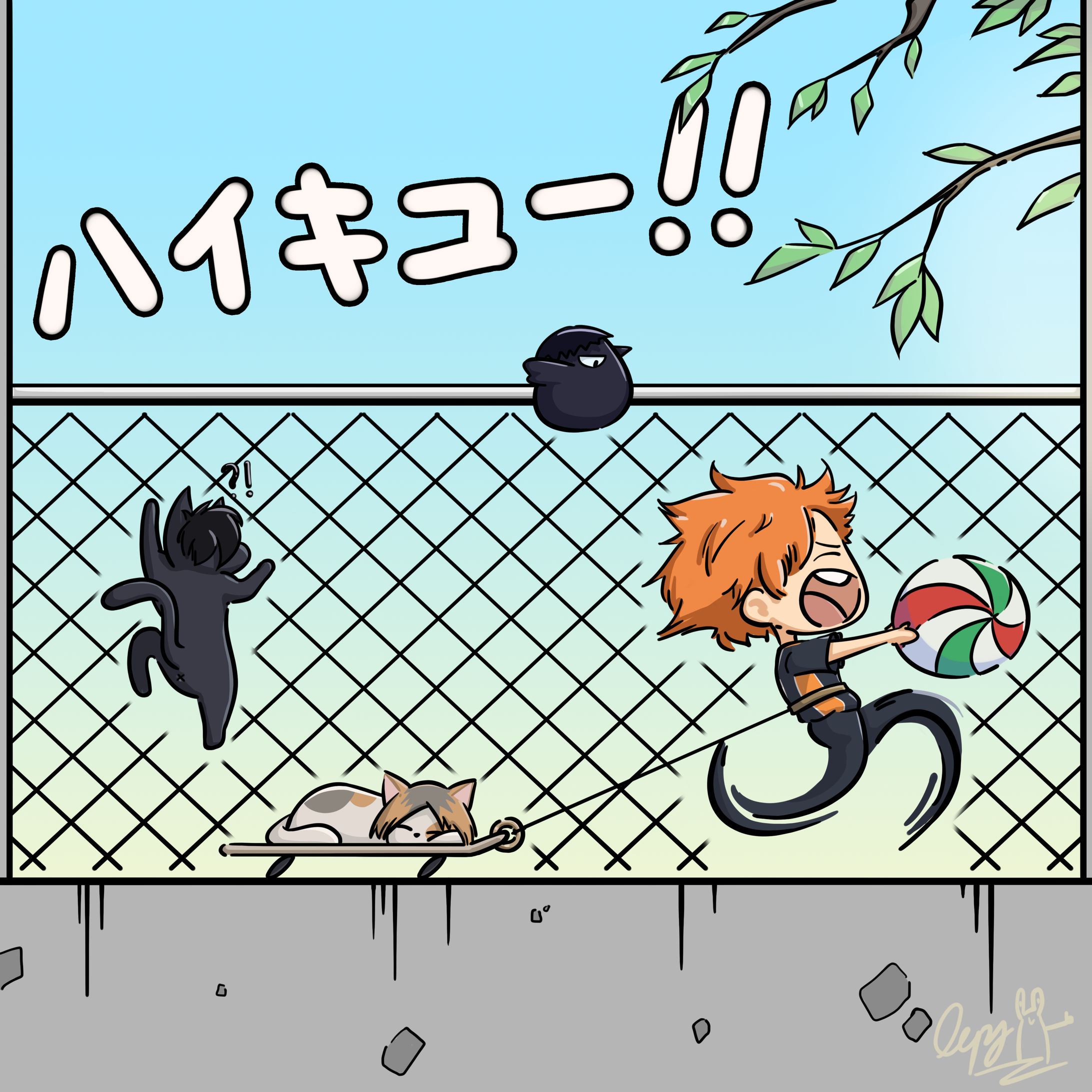 Illustration | Haikyuu 排球少年-1