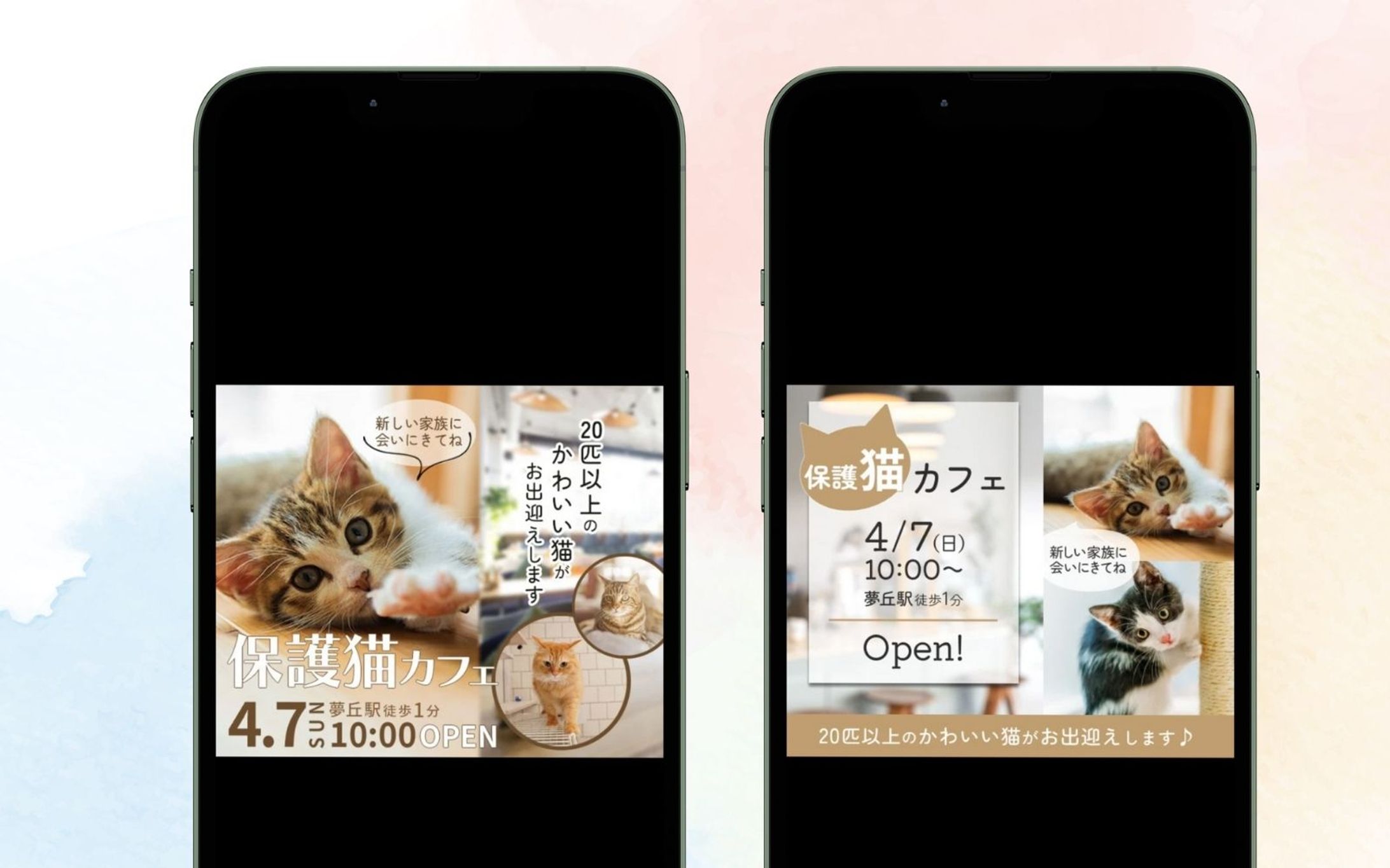 バナー/保護猫カフェバナー-1