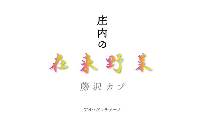 ドキュメンタリー、依頼作品