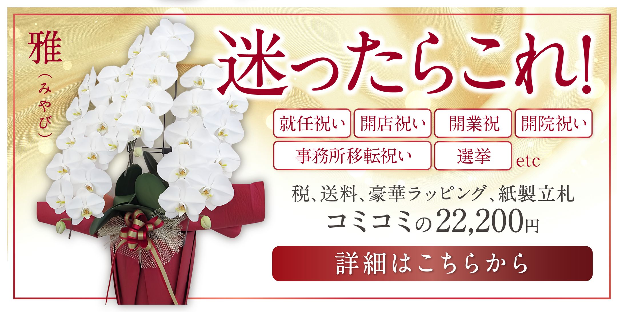 サライ様胡蝶蘭バナー-1