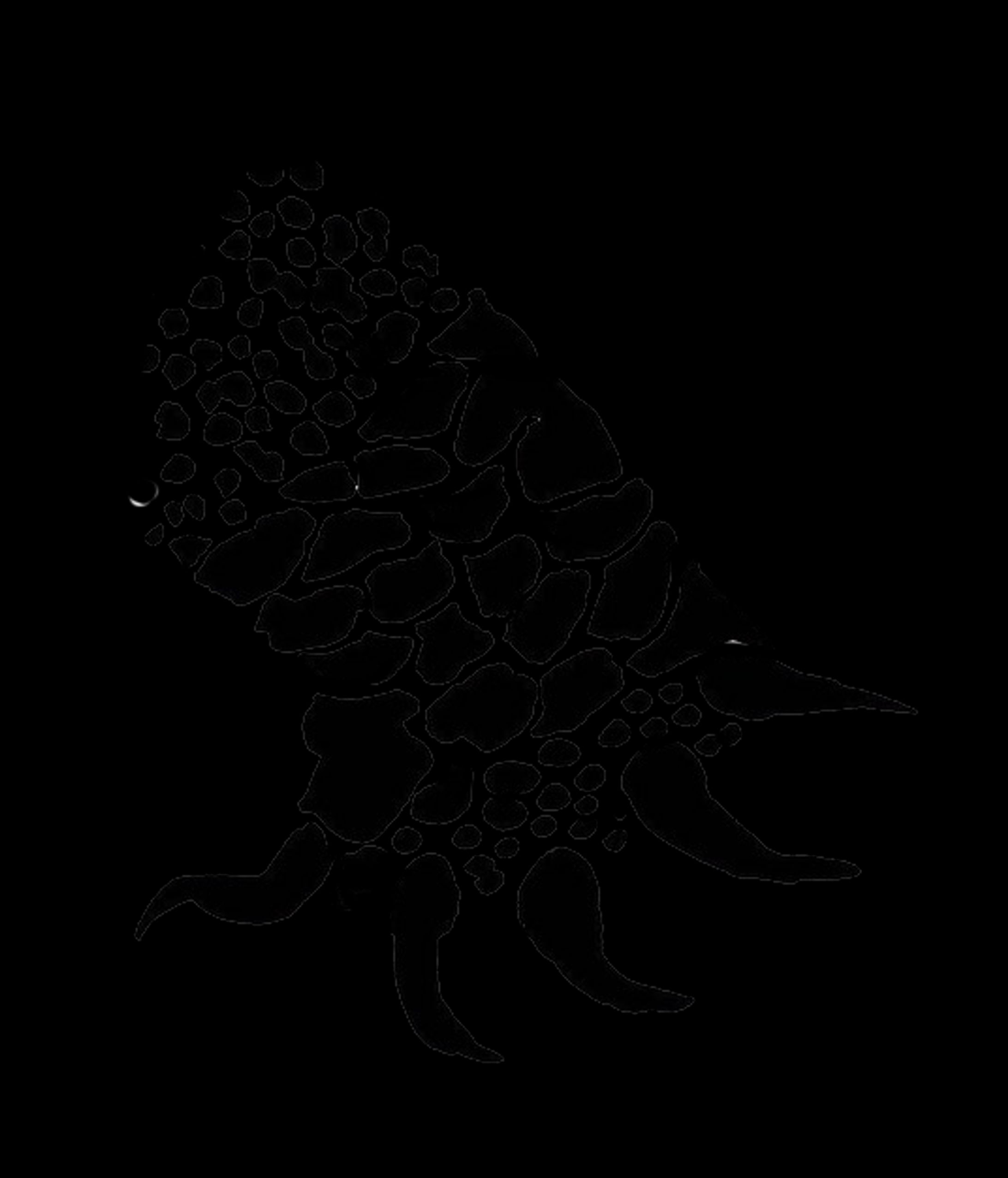 いきものたち-1