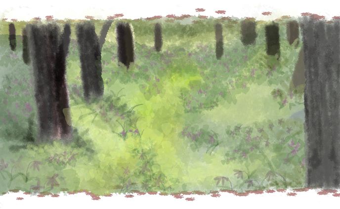 いつもの道　no.3（デジタル）