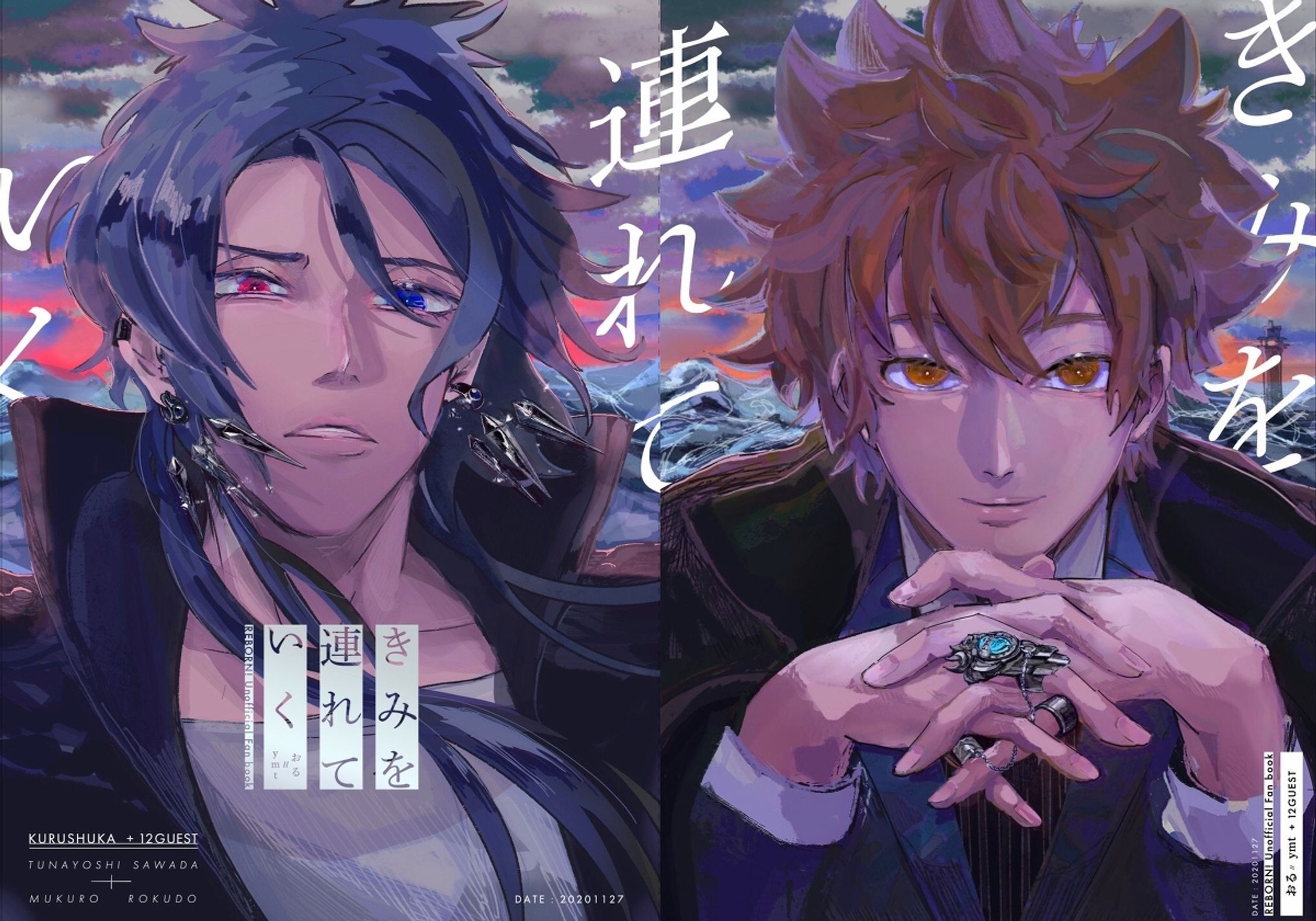 Fan_book_cover-1
