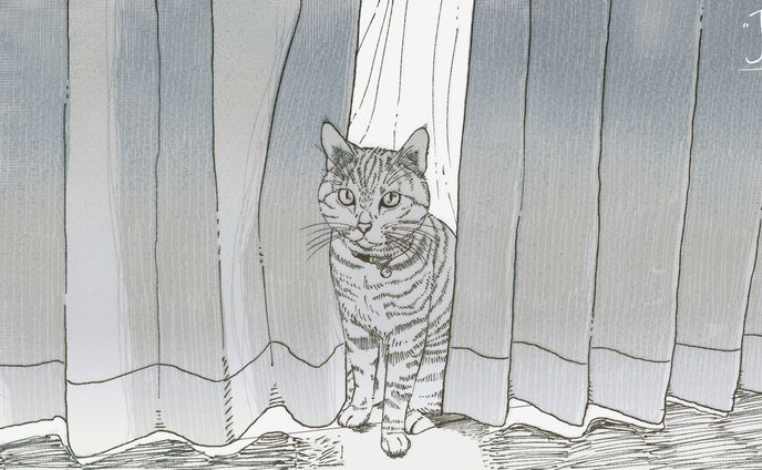 ご依頼絵、3dcg制作