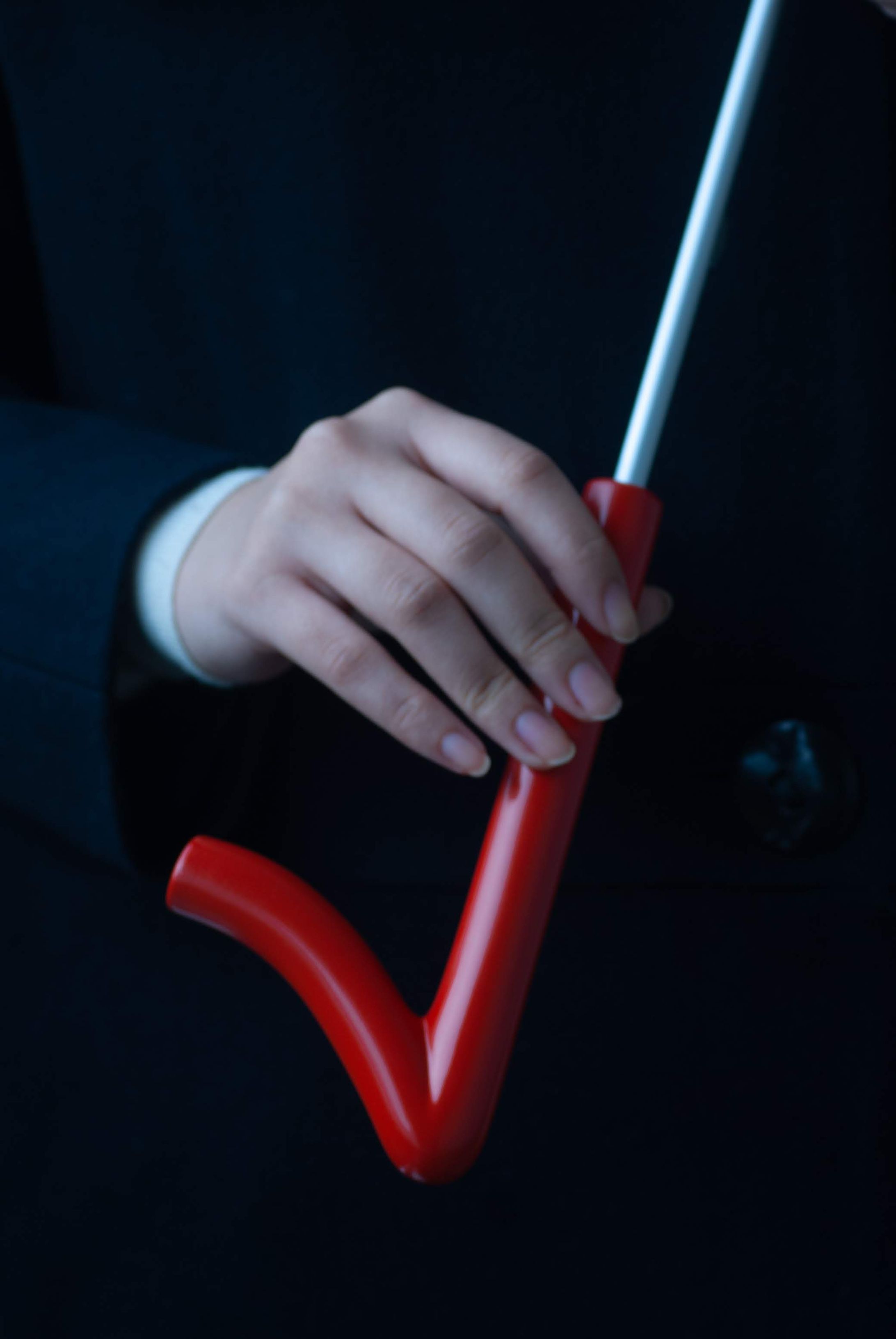 傘の柄のデザイン-1