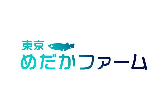 めだか屋さんロゴタイプサンプル1