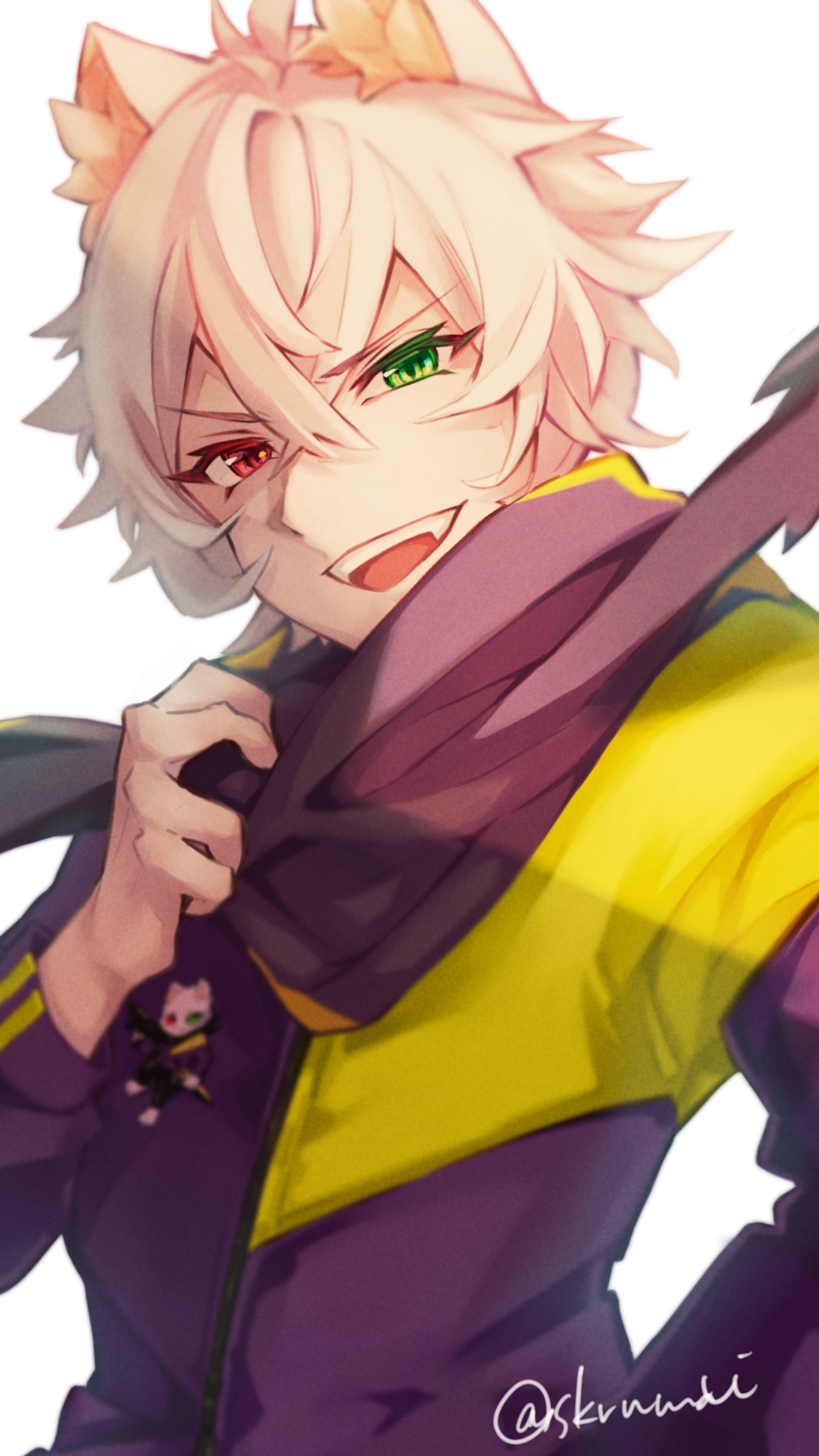 【二次創作】Crazy Raccoon / ras 【FA】-1