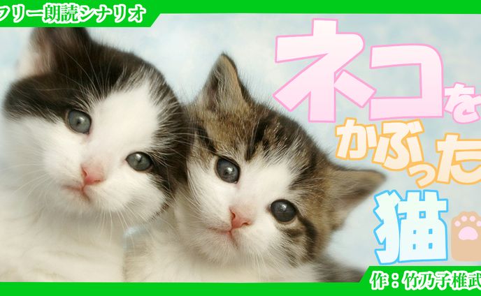 【朗読シナリオ】猫をかぶったネコ