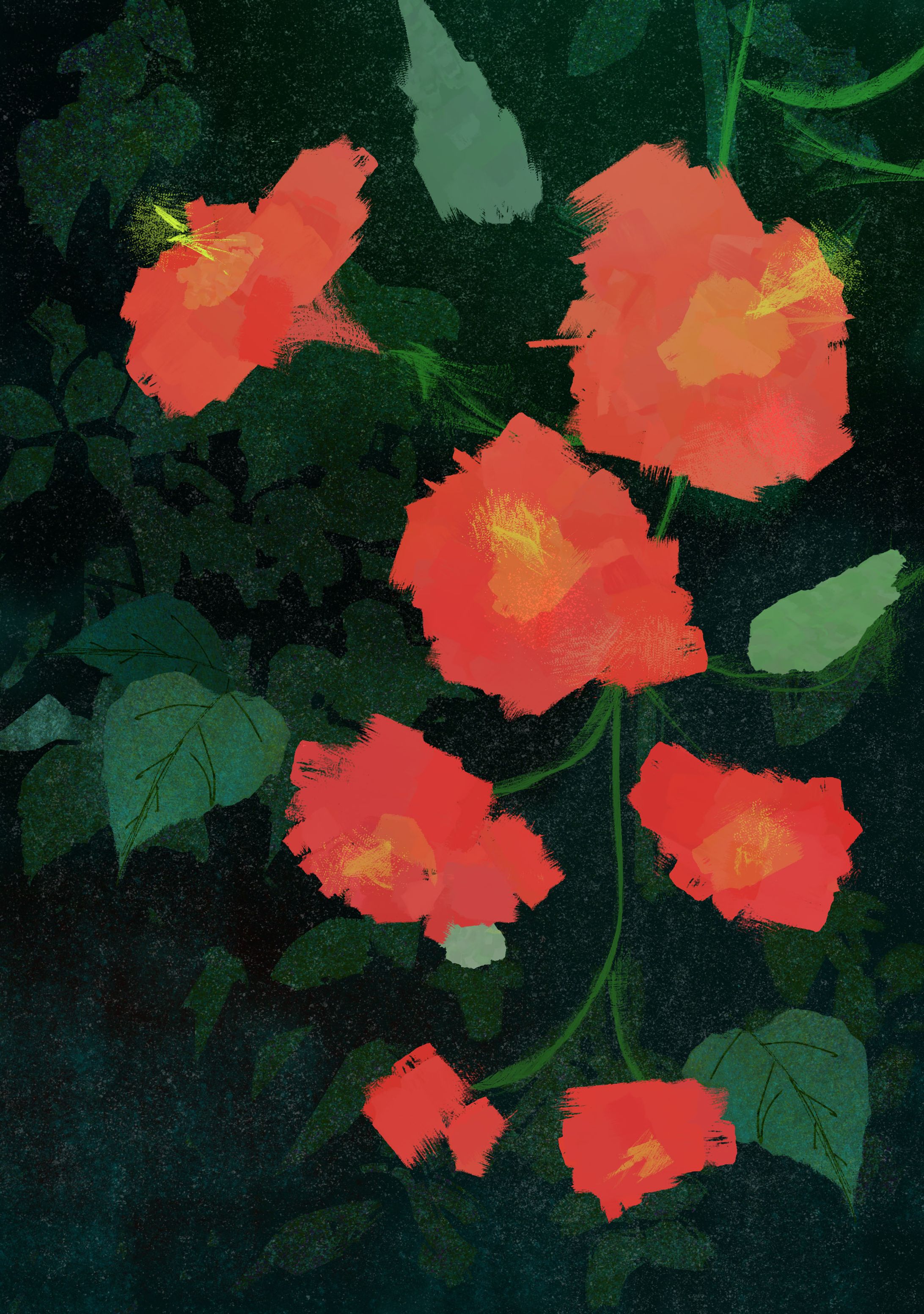 植物01-1
