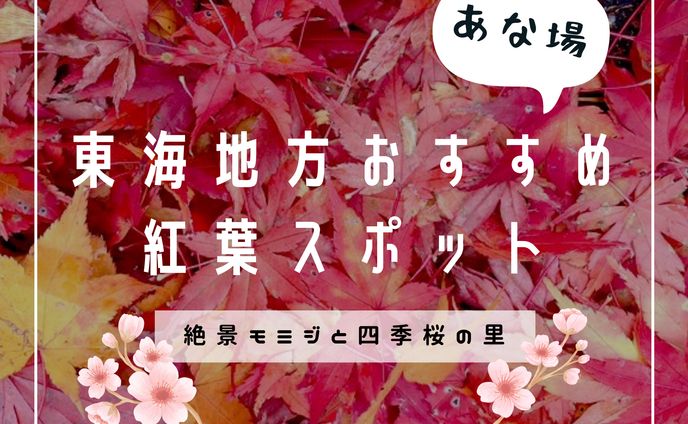 Instagram記事タイトル（紅葉）