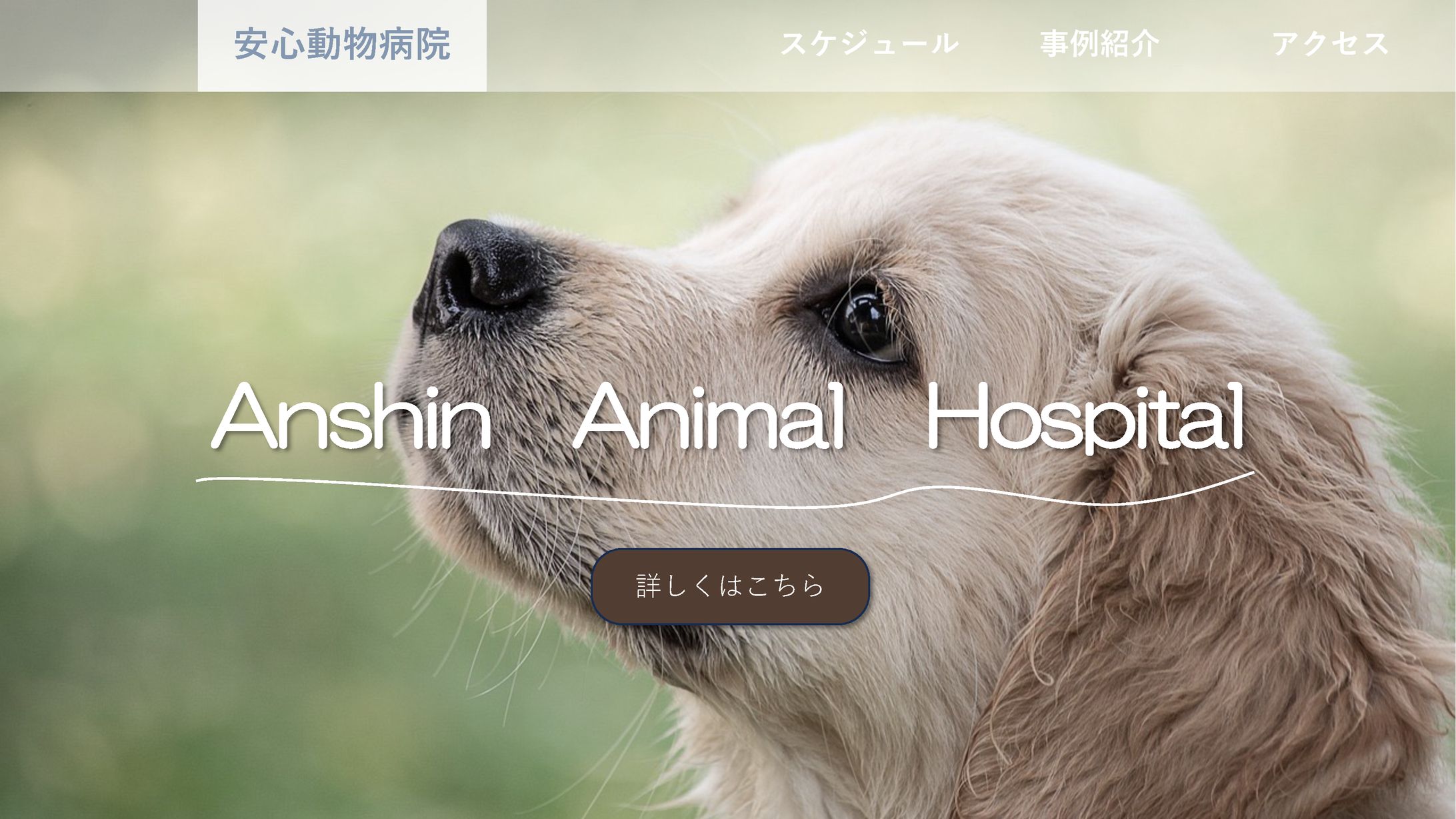 動物病院-1