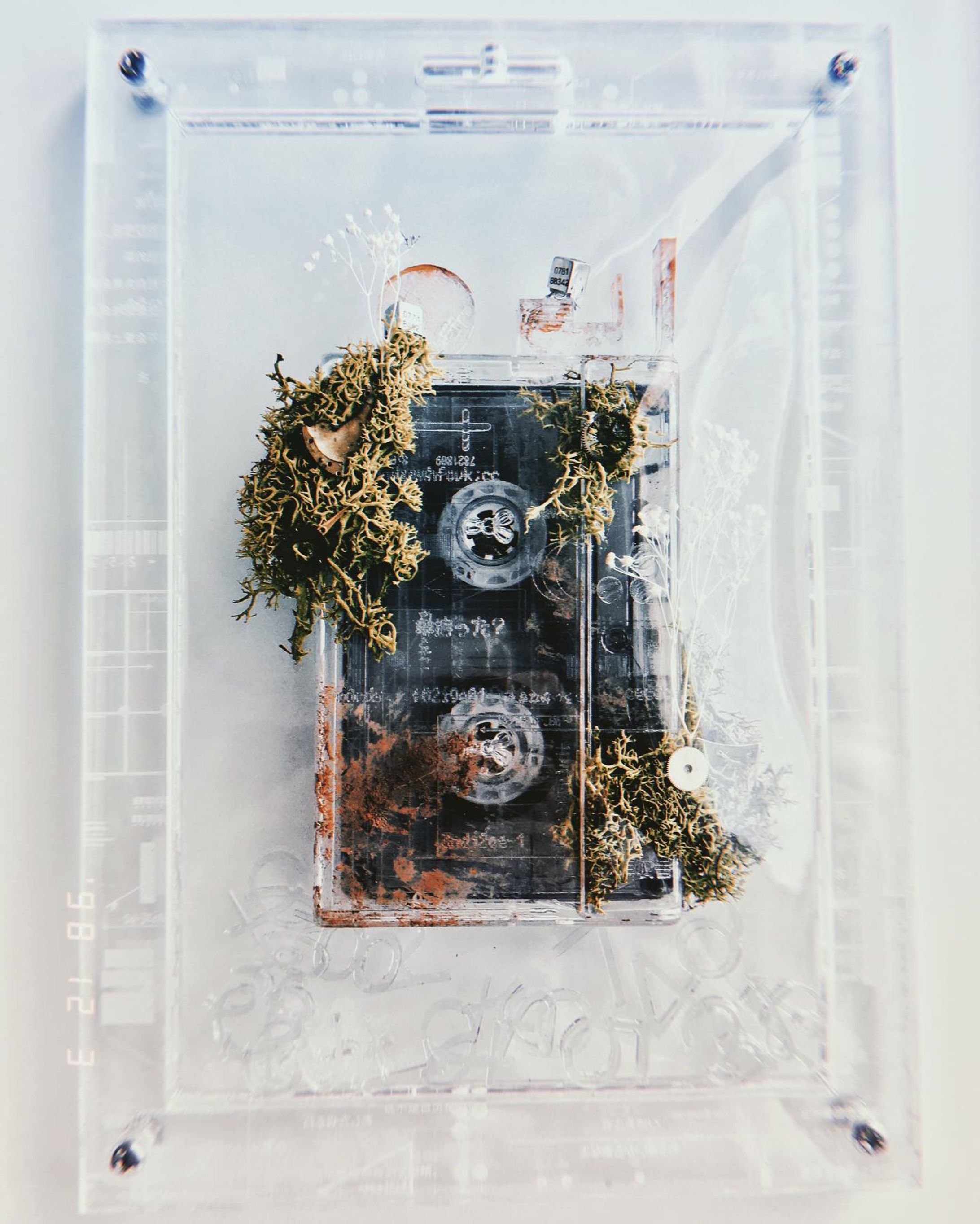 《インスタントオーパーツ》(2019)-1