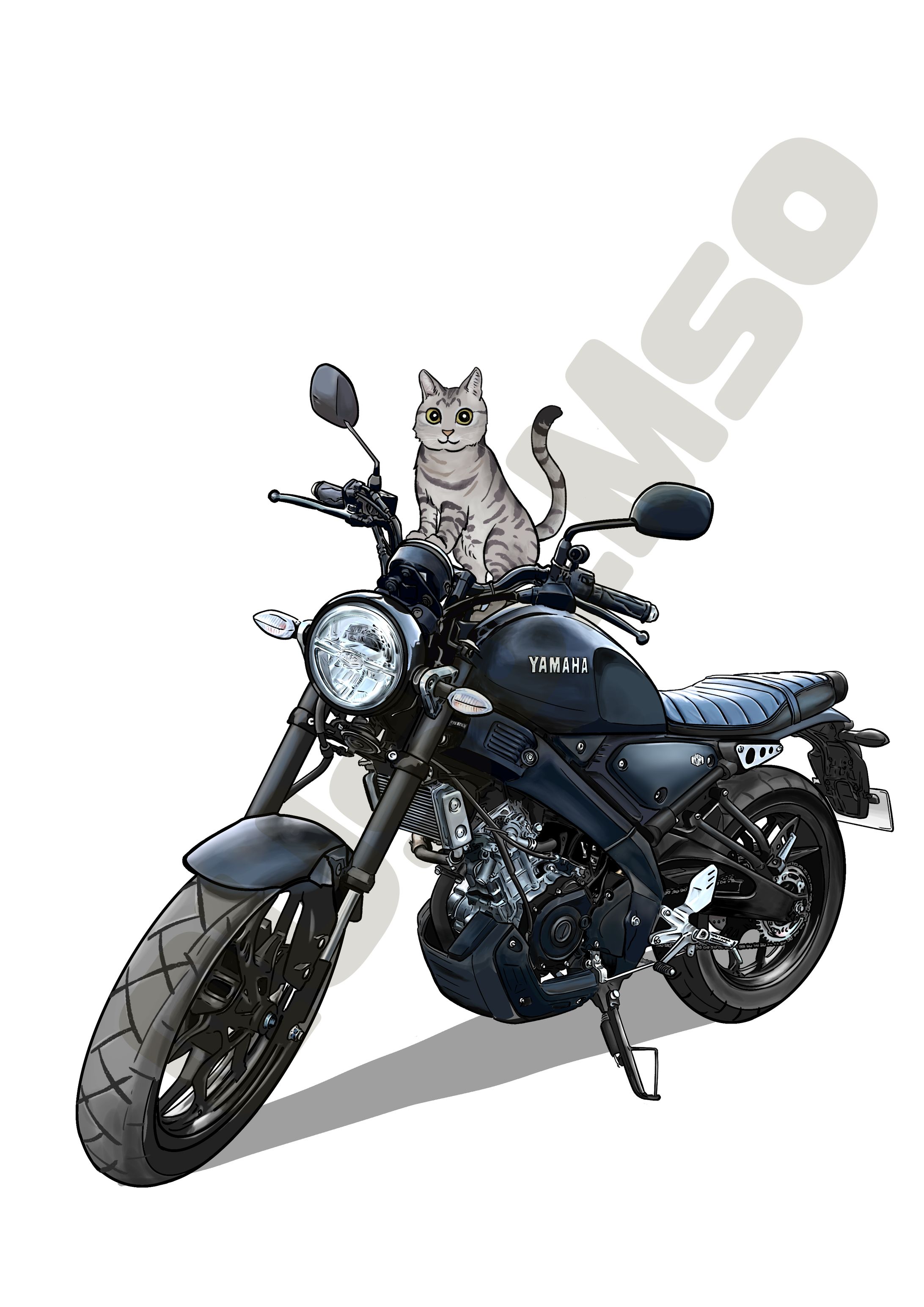 XSR155と猫-1