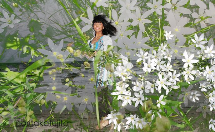 photographer、イラスト