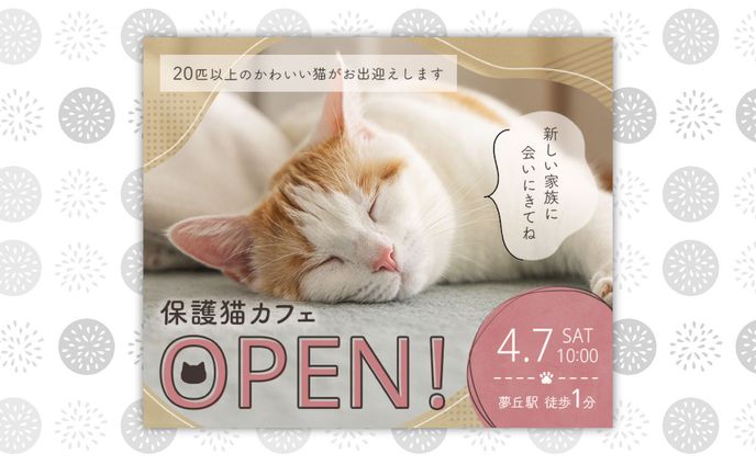 バナー ｜ 保護猫カフェOPEN告知