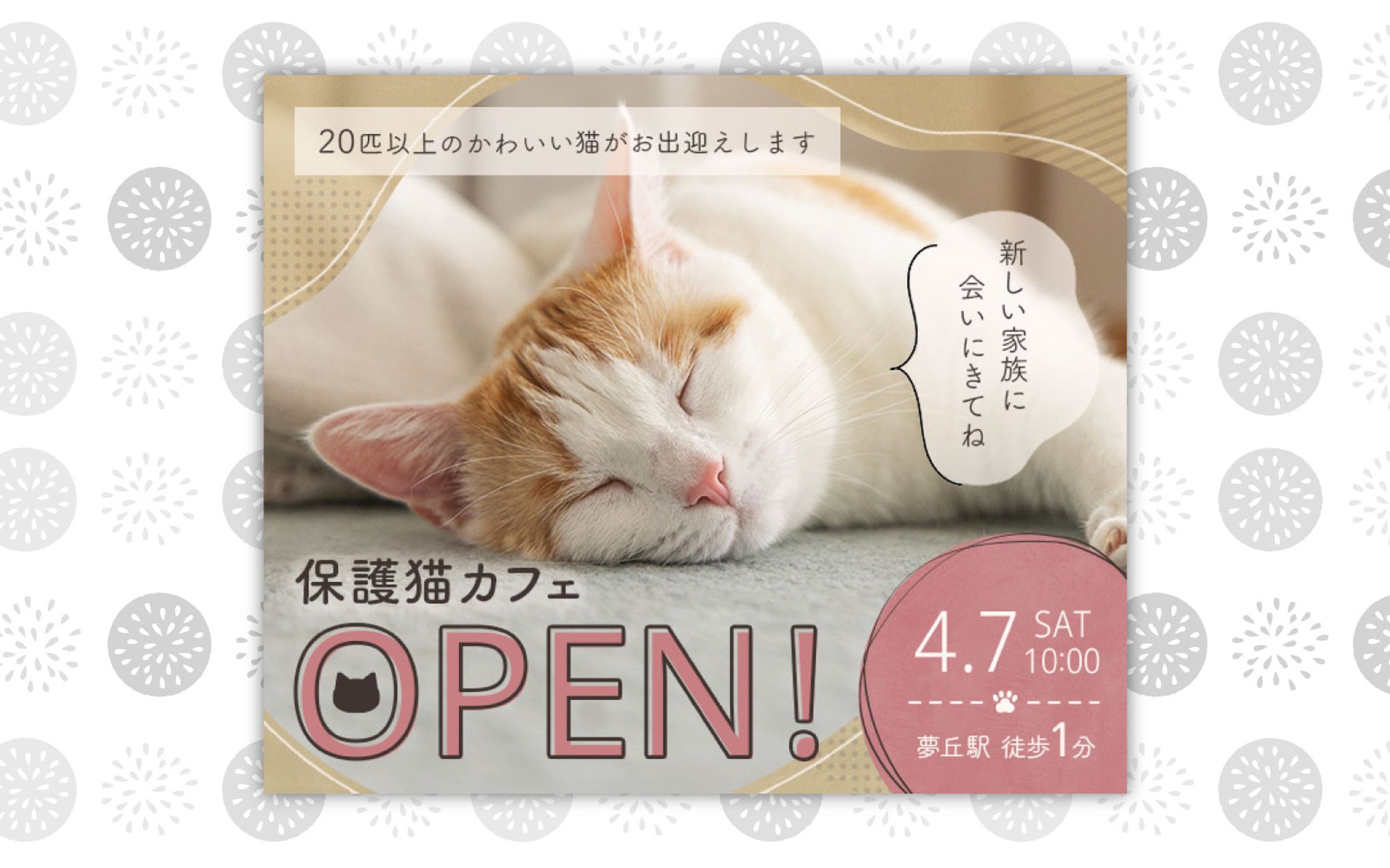 バナー ｜ 保護猫カフェOPEN告知-1