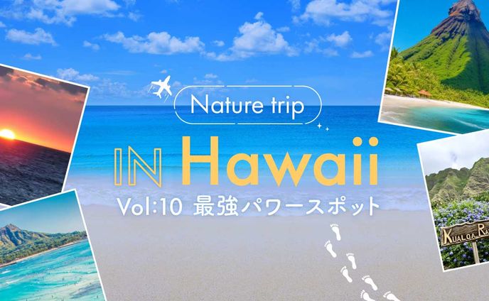 イラスト、デザイン、ココナラ サムネイル