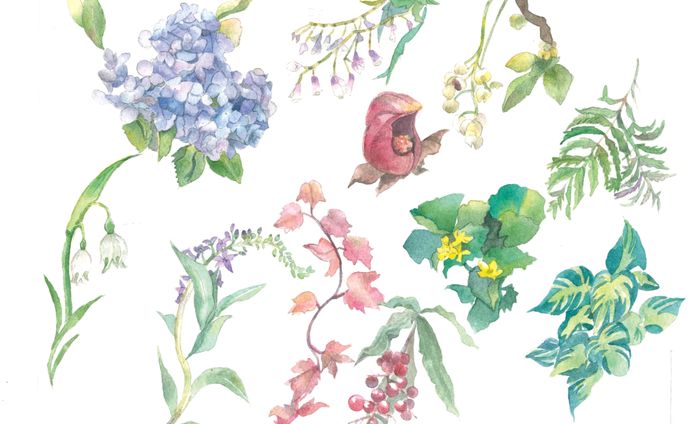 植物カットイラスト